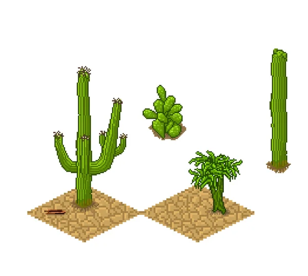 Pixel Art Kakteen Kacheln und Pflanzen. Vektor Spiel Vermögenswerte — Stockvektor