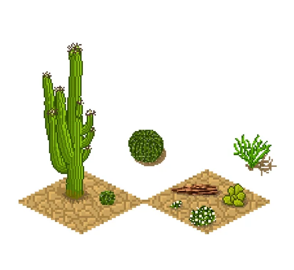 Pixel art cactus tilesets y plantas. Vector activos del juego — Archivo Imágenes Vectoriales