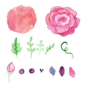 Suluboya gül, sıçrama öğeleri ayarlayın. Vintage yaprakları, çiçekleri ve şube. Vektör el tasarlamak tebrik davetiye kutlama kartları için çekilmiş