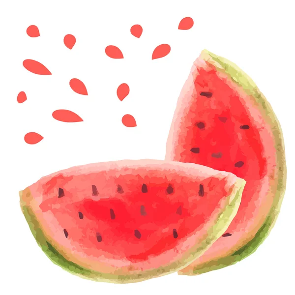 Watercolor watermelon slice vector illustartion. Raw fruit food — Stock Vector