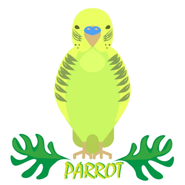 Loro vista frontal aislada en blanco. Pájaro verde con hojas tropicales de selva — Archivo Imágenes Vectoriales