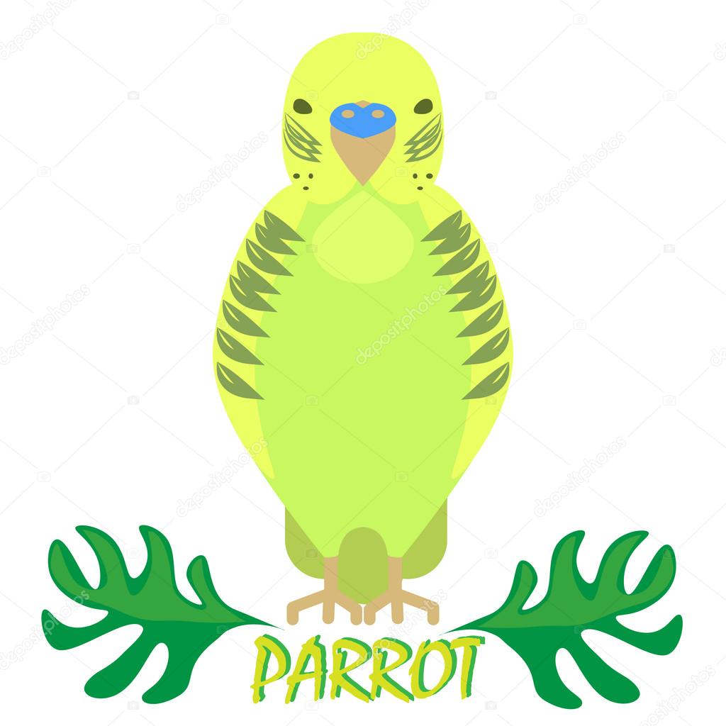 セキセイインコストックベクター ロイヤリティフリーセキセイインコイラスト Depositphotos