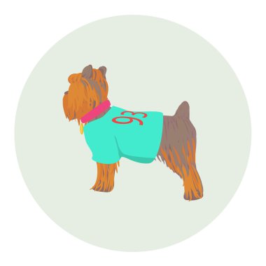 Vektör Yorkshire Terrier ayakta yarı-yüz simgesi