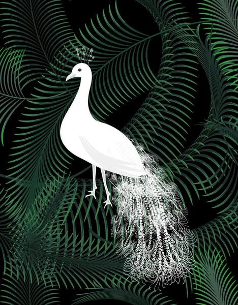 Oiseau de paon blanc sur feuille de palmier affiche de fond jungle . — Image vectorielle