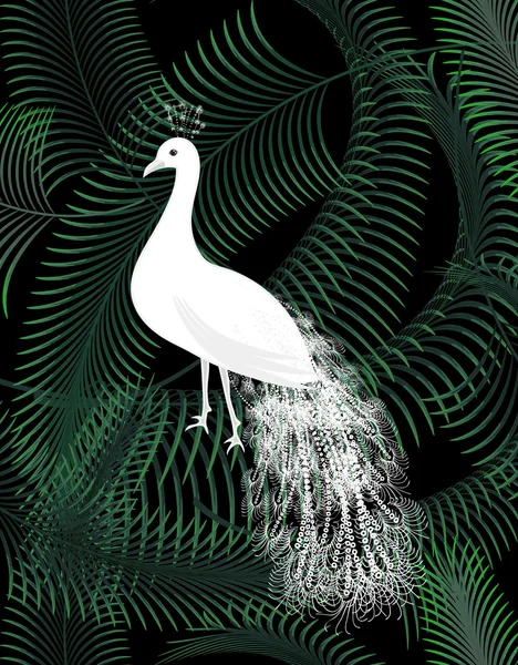 Pájaro pavo real blanco en la selva hojas de palma cartel de fondo . — Vector de stock