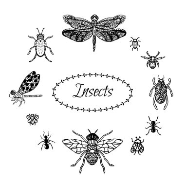 El zentangle tarzında ayarla böcek çekilmiş. Siyah mürekkep yusufçuk, böcek ve kelebekler.