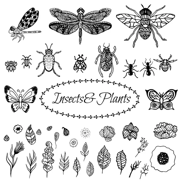 Vecteur dessiné à la main zentangle feuilles de plantes noires, fleurs et insectes mis isolé sur blanc . — Image vectorielle