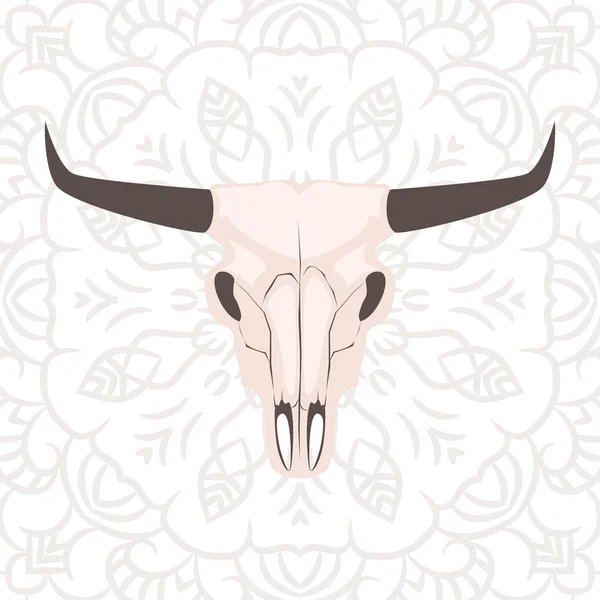 Longhorn cow skull head vector illustration. — Stock Vector