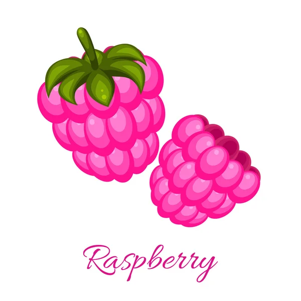 Pink raspberry logo vector icon. — Stock Vector