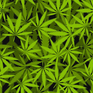 Marihuana kusursuz vektör deseni bırakır.