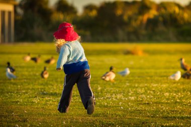 ördekler takip çocuk