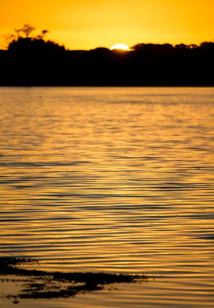 Gouden zonsondergang op een meer — Stockfoto