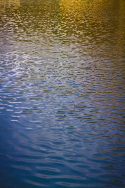 su Ripples