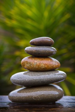  yığını yuvarlak bir avize ağacı önünde dengeli yumuşak ıslak çakıl 