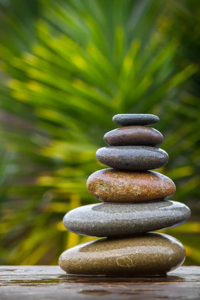  yığını yuvarlak bir avize ağacı önünde dengeli yumuşak ıslak çakıl 