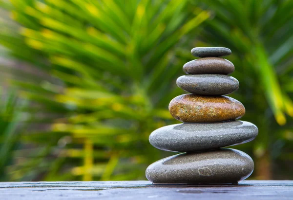  yığını yuvarlak bir avize ağacı önünde dengeli yumuşak ıslak çakıl 