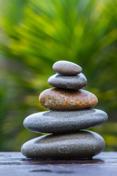  yığını yuvarlak bir avize ağacı önünde dengeli yumuşak ıslak çakıl 