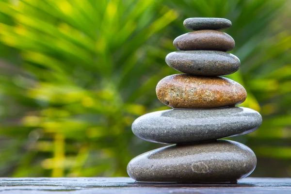 Stack of round smooth wet pebbles balanced in front of a yucca Royalty Free Stock Photos