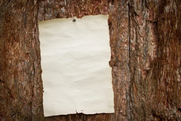 Papier genageld aan een boom — Stockfoto