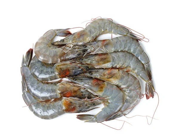 Raw shrimp isolated on the whtie background — Stock Photo, Image
