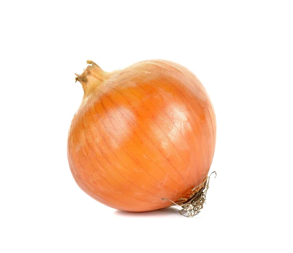 Onion isolated on the white background — Stock Photo, Image