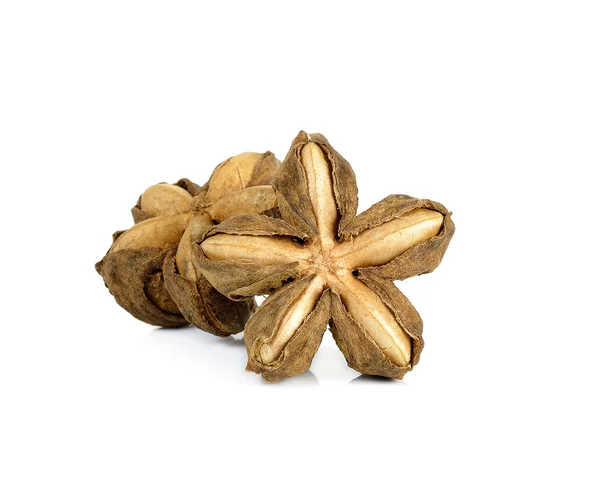 Sacha inchi semilla de cacahuete sobre fondo blanco — Foto de Stock