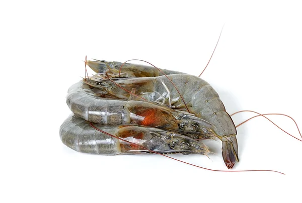 Raw shrimp isolated on the whtie background — Stock Photo, Image