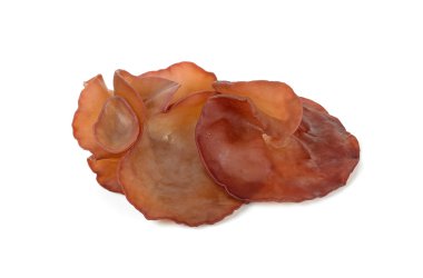 Siyah mantar, beyaz arka planda Yahudi Kulağı Mantarı.