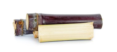 Şeker kamışı beyaz arka plan üzerinde izole