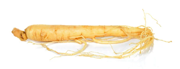 Ginseng aislado en el fondo blanco —  Fotos de Stock