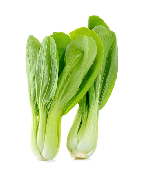 Bok choy növényi, elszigetelt, fehér — Stock Fotó