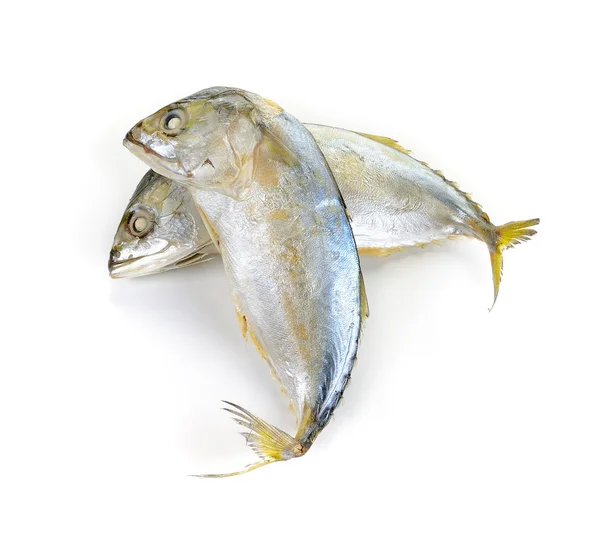 Makrele Fisch isoliert auf dem weißen Hintergrund — Stockfoto