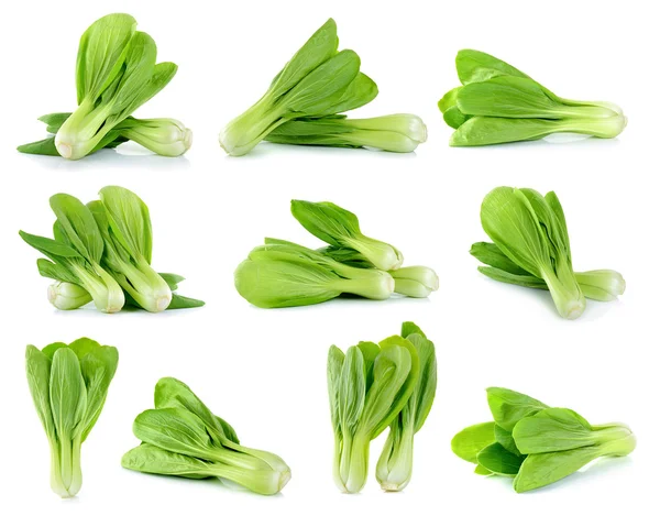 Bok choy vegetable isolated on the white — Stock Photo, Image