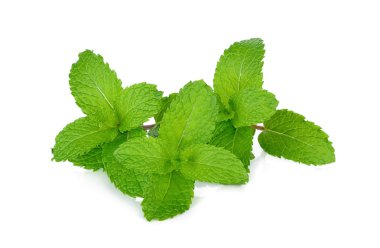 Beyaz arka plan üzerinde izole taze nane