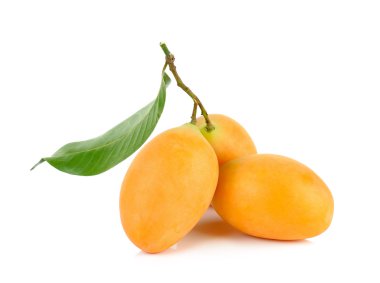 Marian Erik Tay meyve üzerinde beyaz izole