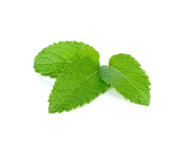 Beyaz arka plan üzerinde izole taze nane