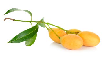 Marian Erik Tay meyve üzerinde beyaz izole