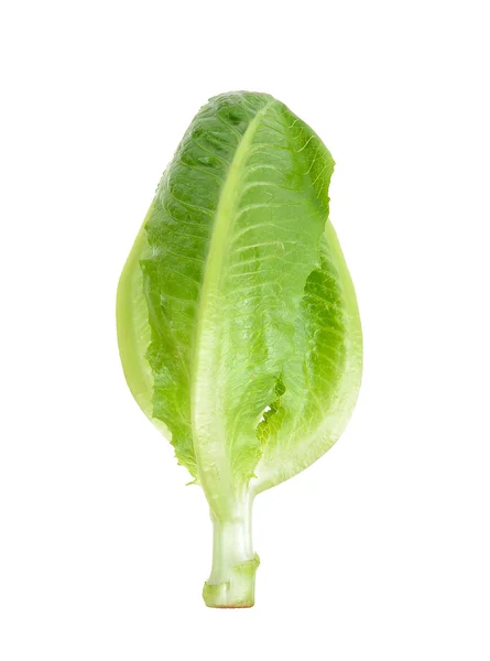 COS салату ізольовані на білий — стокове фото