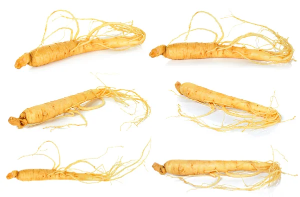 Beyaz arka plan üzerinde izole ginseng