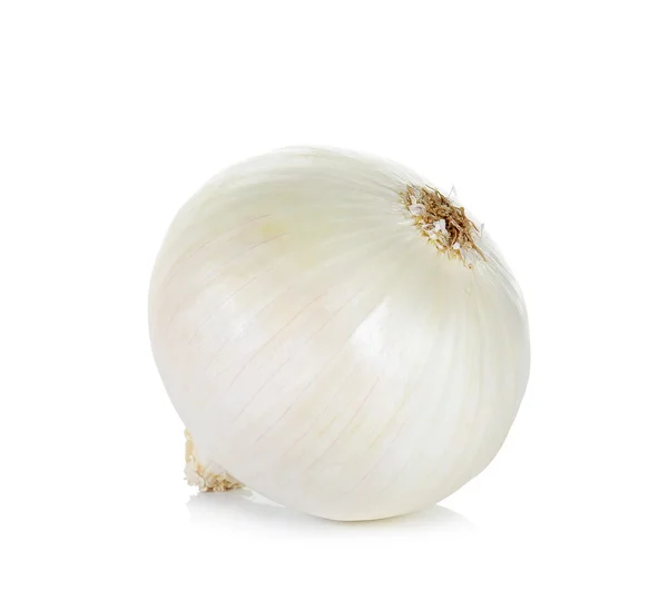 Cebolla blanca aislada sobre fondo blanco — Foto de Stock