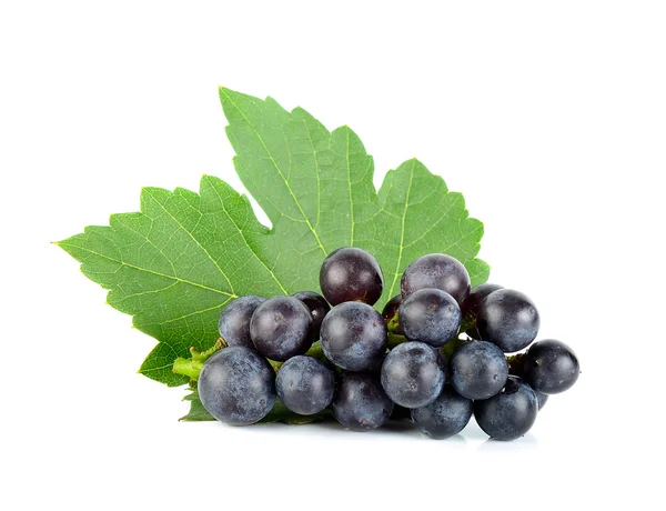 Grape with leaf isolated on the white background — Stock Photo, Image