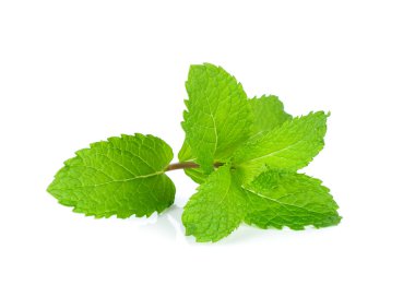 Beyaz arka plan üzerinde izole taze nane