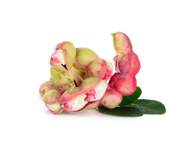 Manila tamarind meyvesi beyaz arkaplanda izole