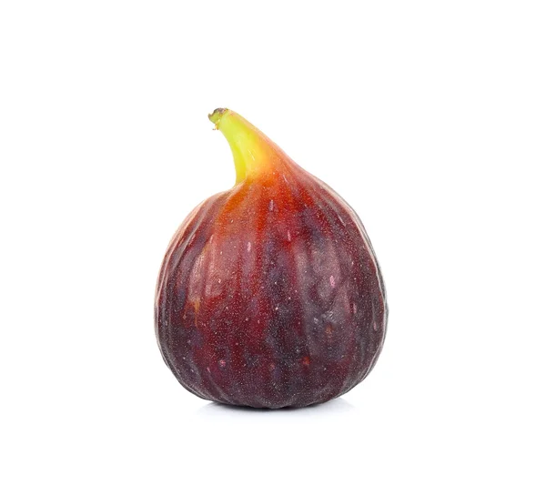 Fig geïsoleerd op de witte achtergrond — Stockfoto