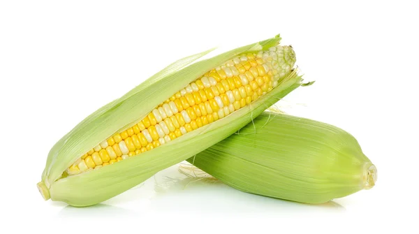 在白色的背景分离的原料玉米 — 图库照片