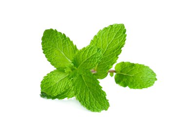 Beyaz arka plan üzerinde izole taze nane