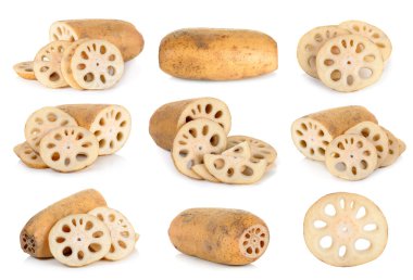 Lotus root isolated on the white background clipart