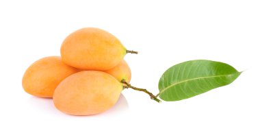 Marian Erik Tay meyve üzerinde beyaz izole