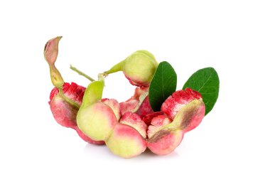 Manila tamarind meyvesi beyaz arkaplanda izole