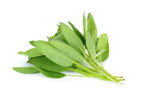 Beyaz arka plan üzerinde paket adaçayı yaprakları